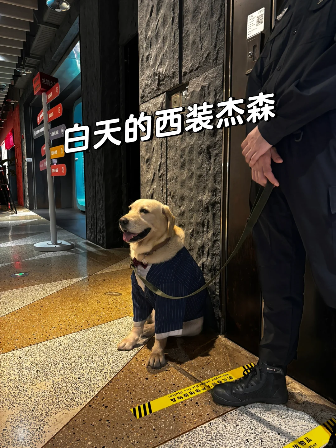 二级行研人怎么做研究
