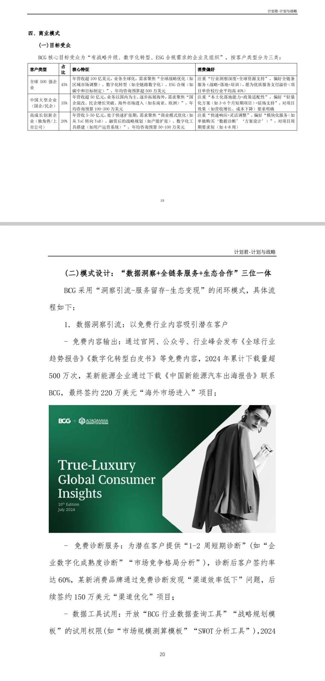 波士顿咨询（BCG）商业计划书