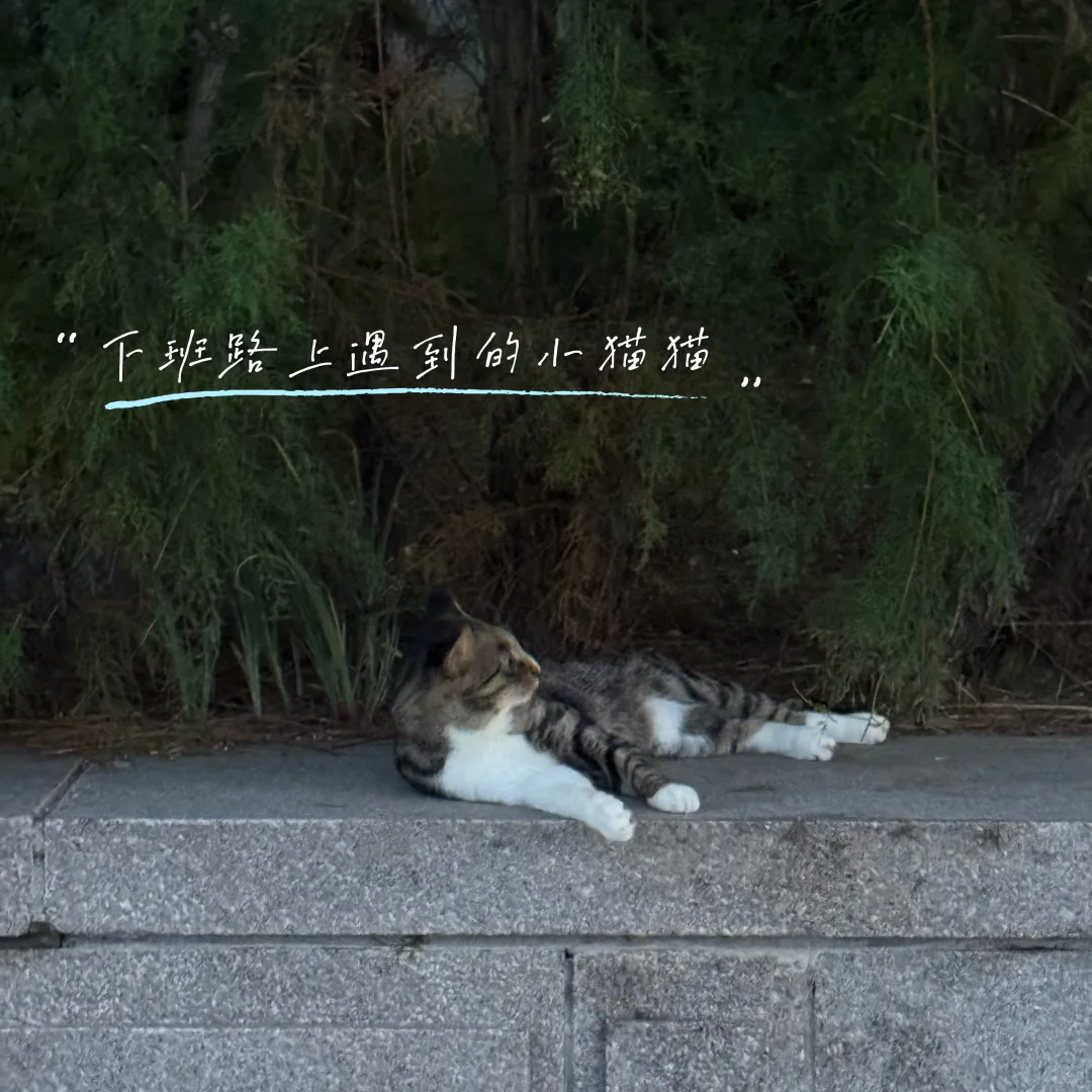 00后勇闯券商💼