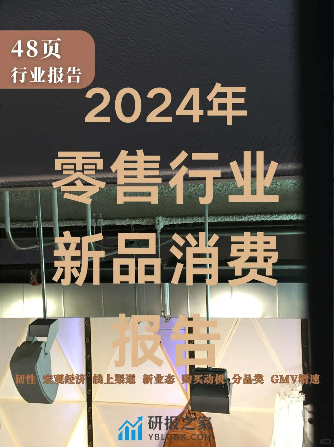 单篇研报分享|2024年零售行业新品消费报告