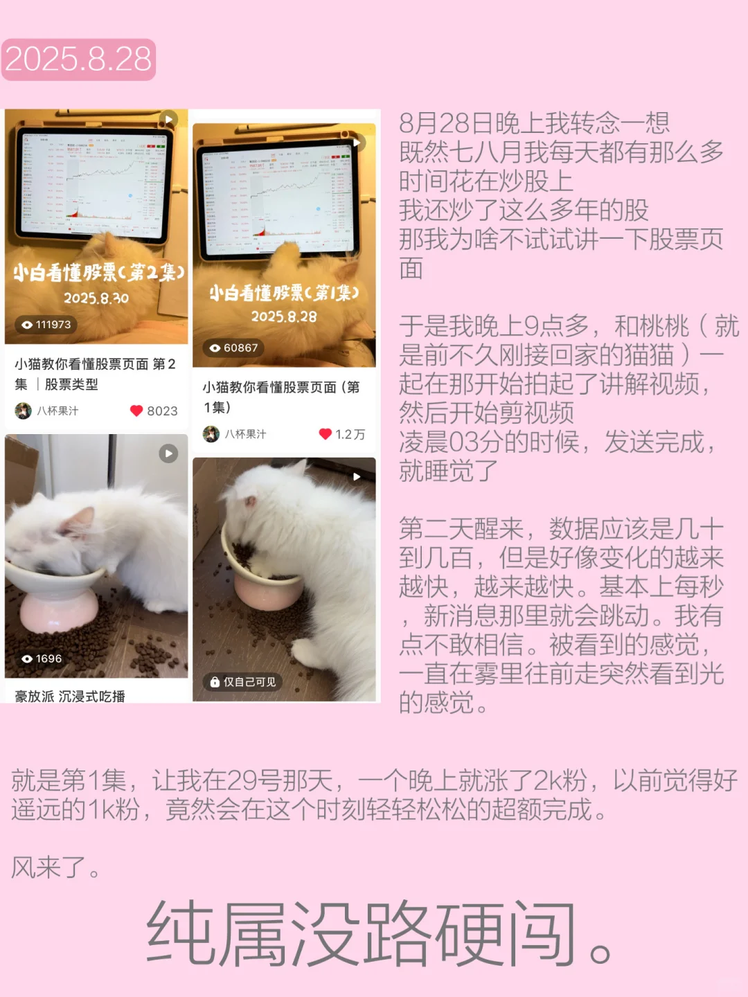 7天涨粉1w 我的思路复盘！！