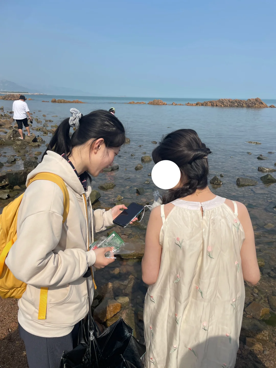 在小麦岛能遇到什么
