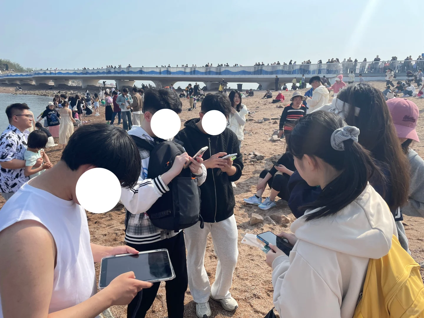 在小麦岛能遇到什么