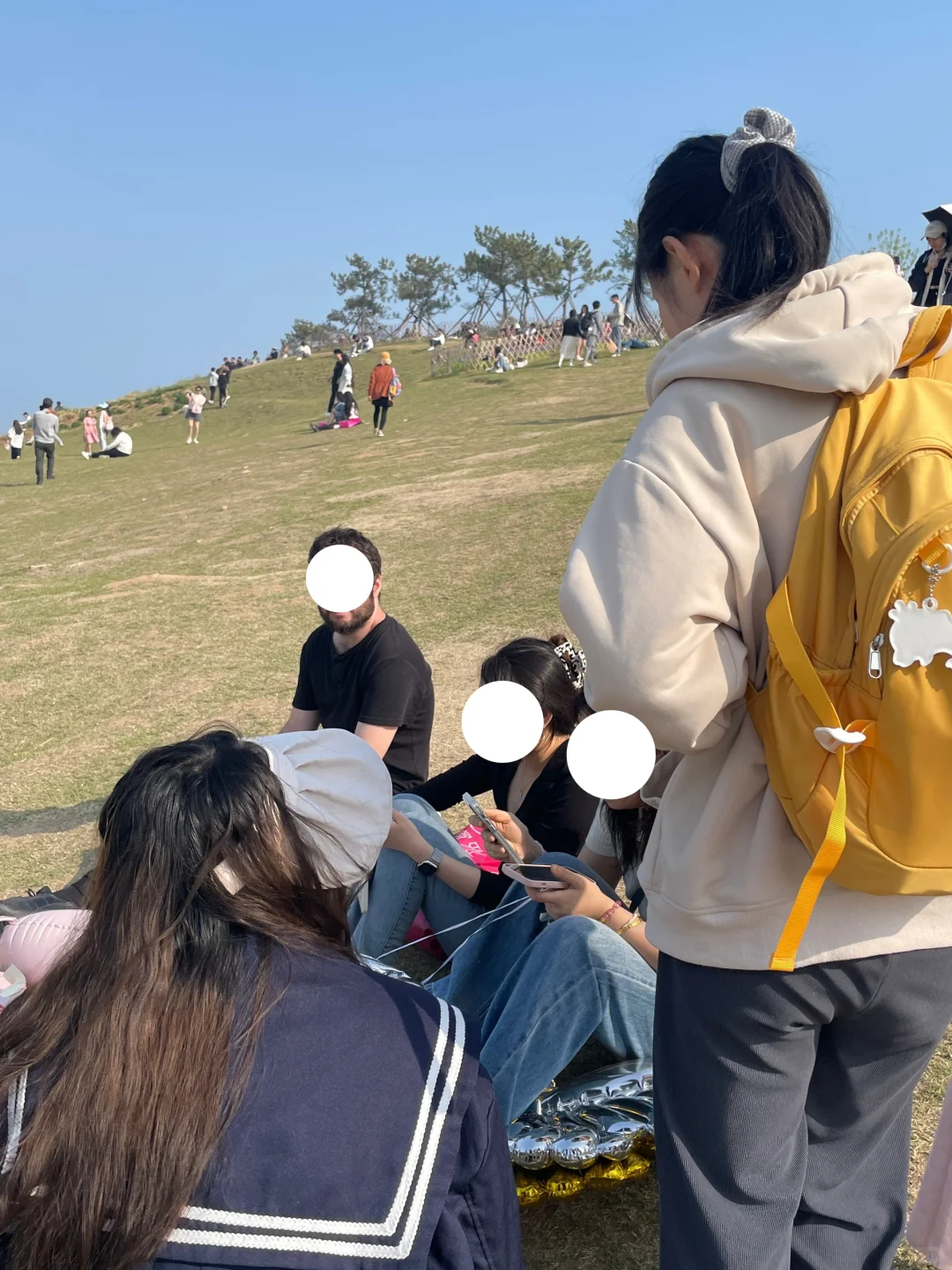 在小麦岛能遇到什么