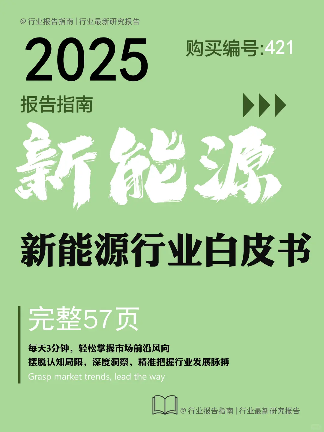 《2025 新能源行业白皮书》核心数据大揭秘
