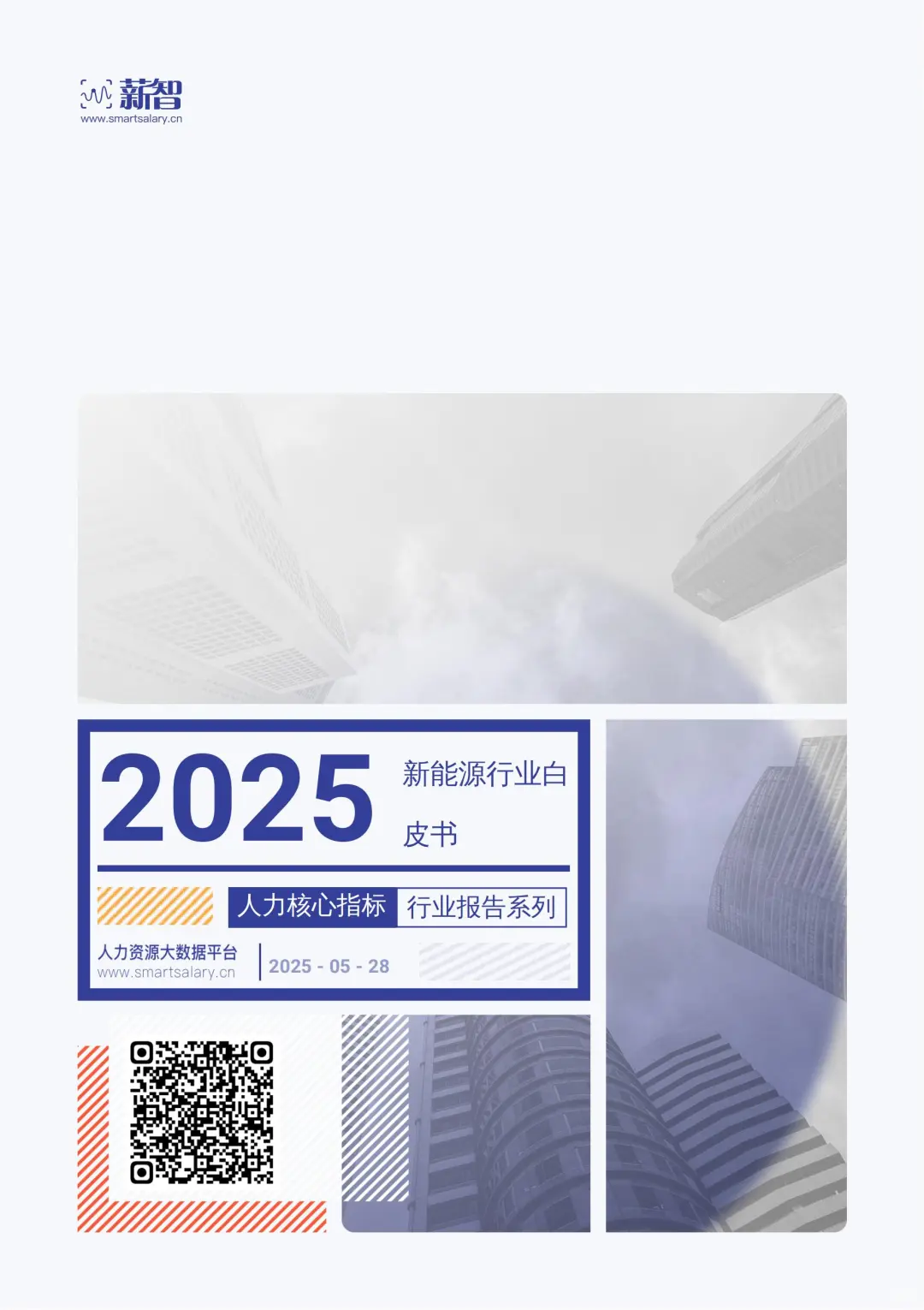 《2025 新能源行业白皮书》核心数据大揭秘