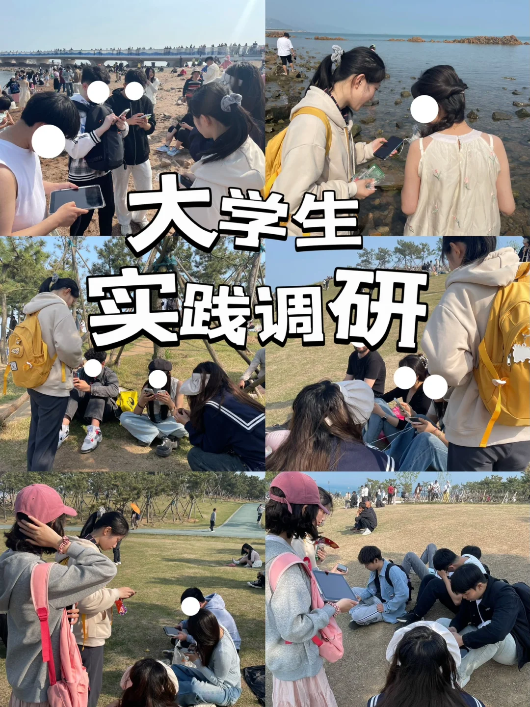在小麦岛能遇到什么