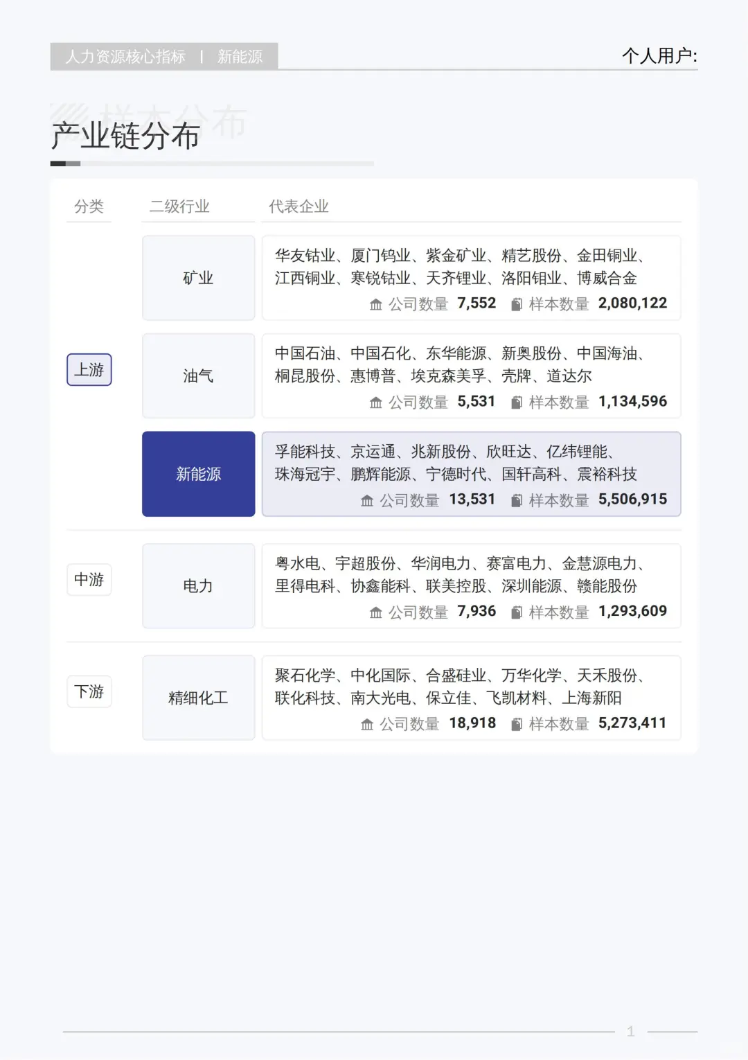 《2025 新能源行业白皮书》核心数据大揭秘