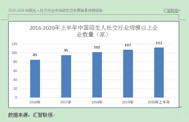 陌生人社交行业市场研究与发展前景预测报告