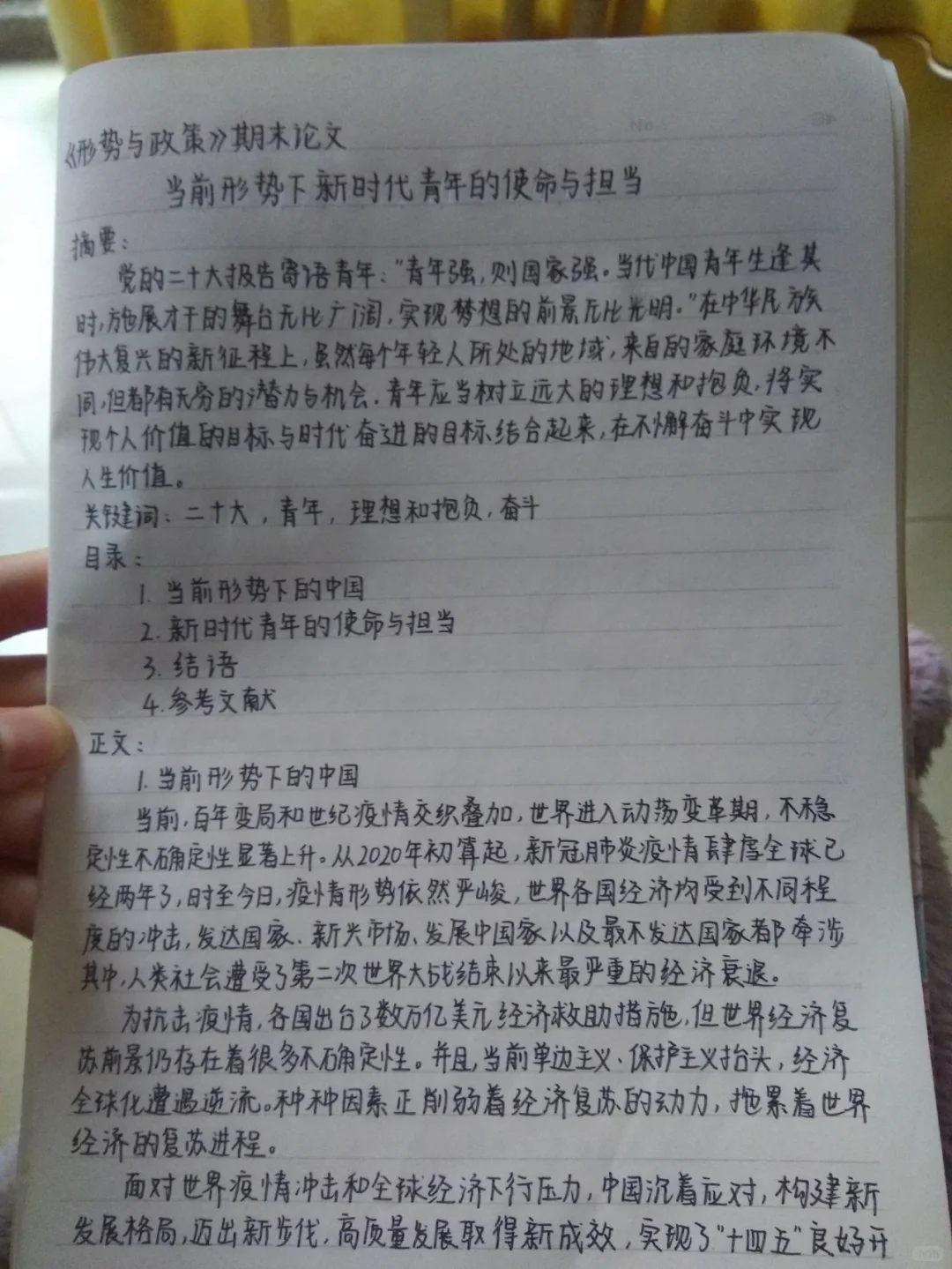 形势与政策论文