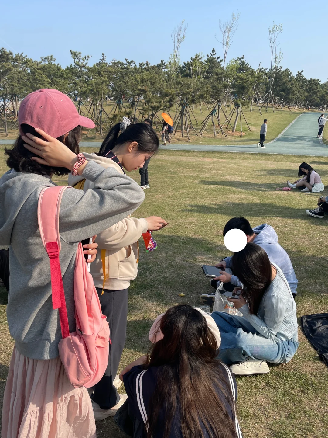 在小麦岛能遇到什么
