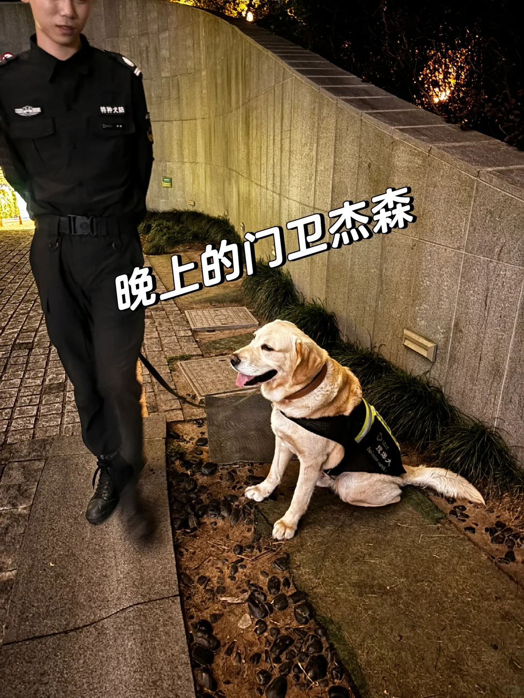 二级行研人怎么做研究