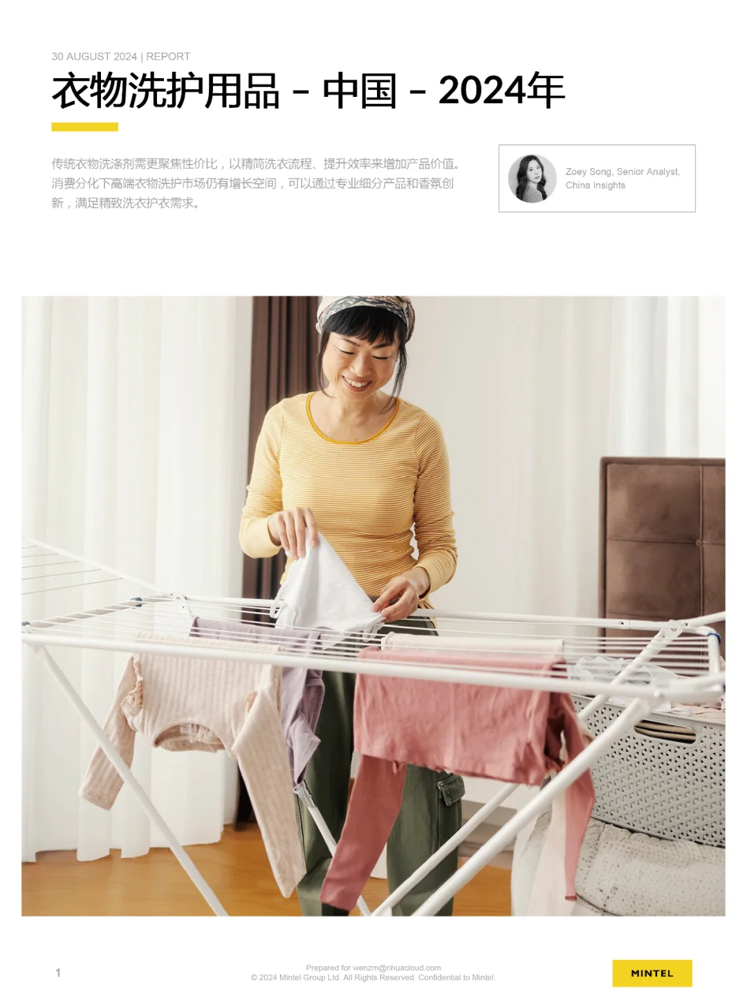 2024中国衣物洗护用品报告，洗护行业研报