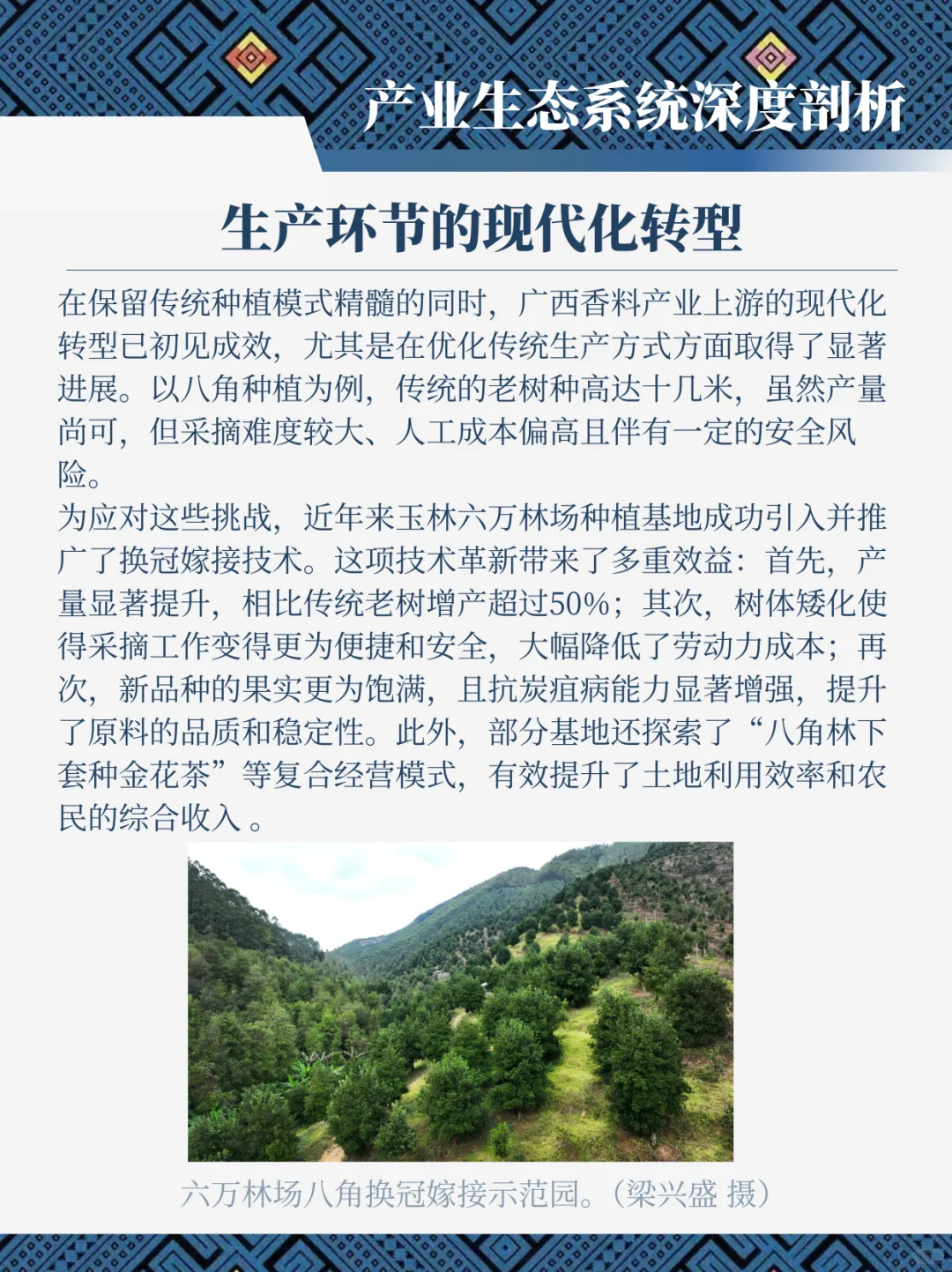 广西香料产业洞察报告