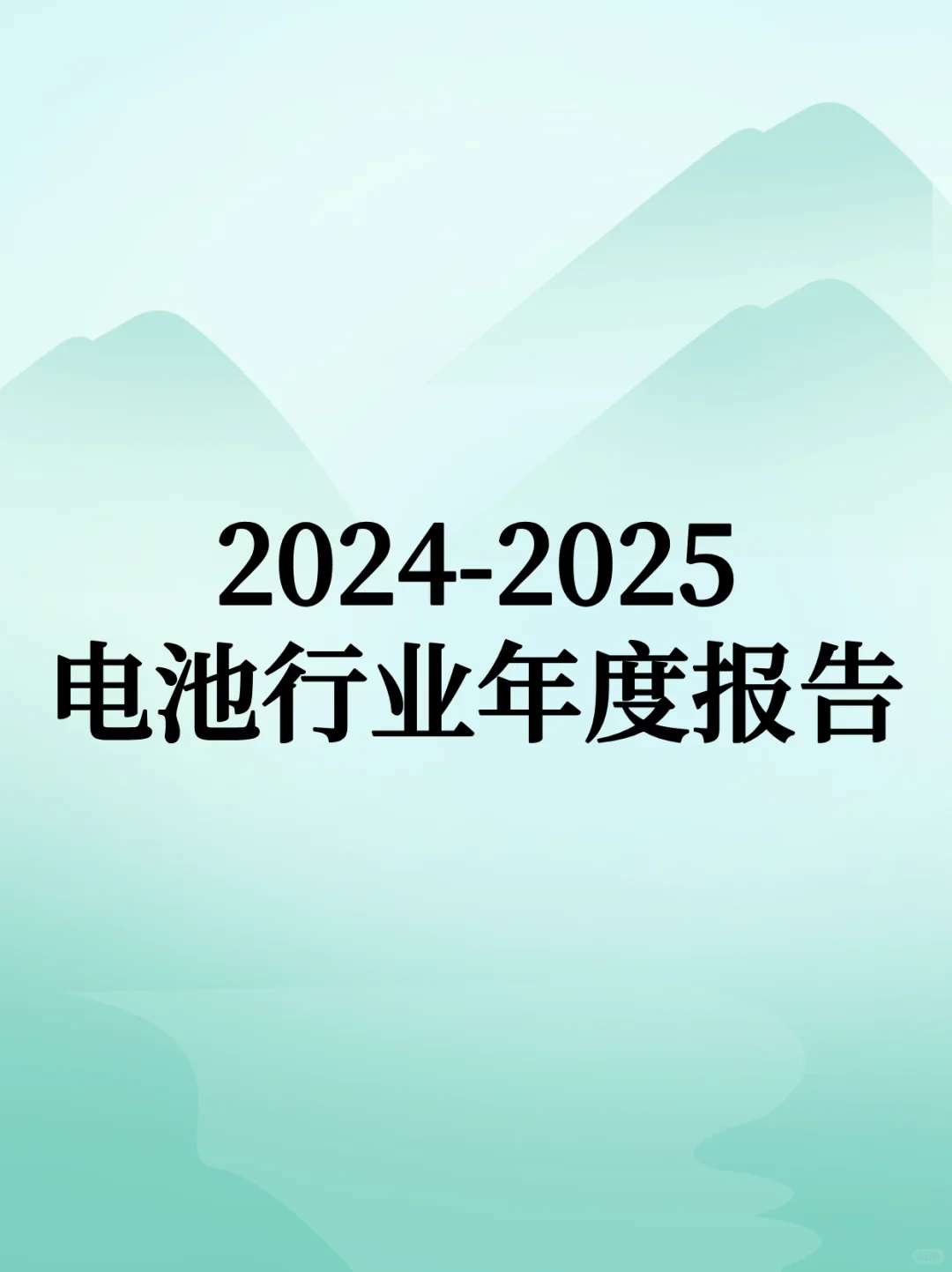 2024-2025电池行业年度报告