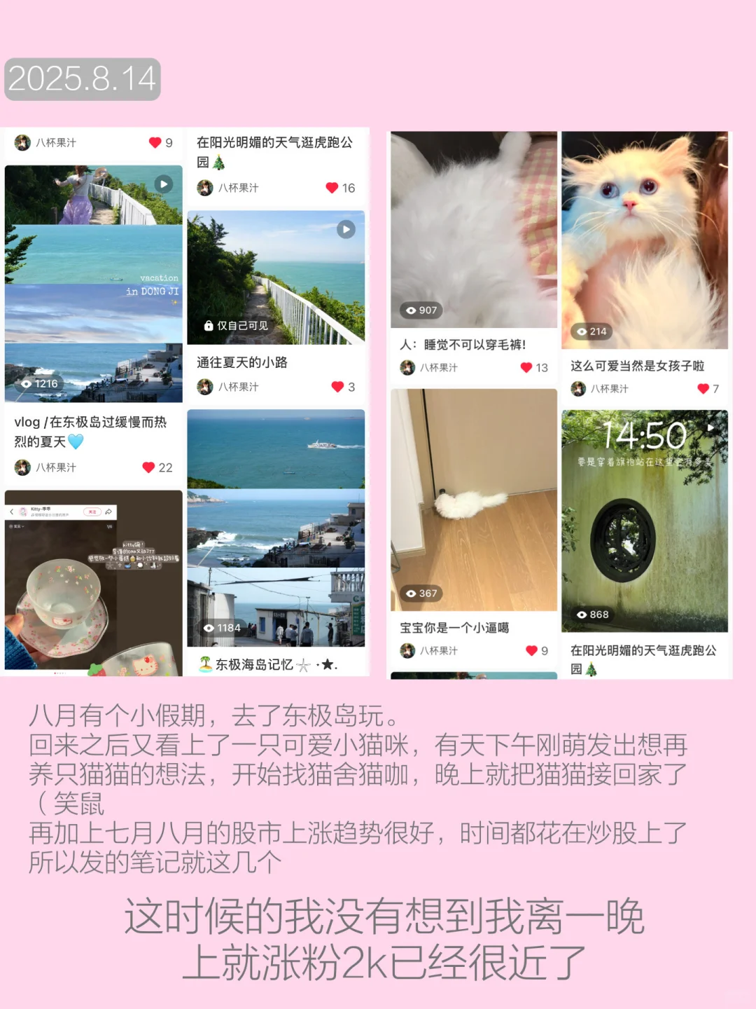 7天涨粉1w 我的思路复盘！！