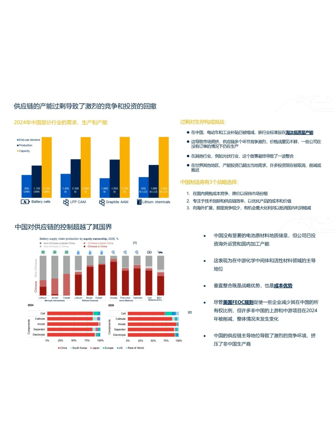2024-2025电池行业年度报告