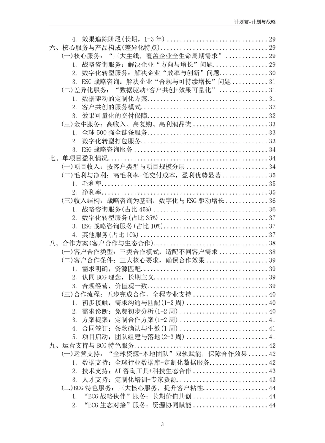 波士顿咨询（BCG）商业计划书