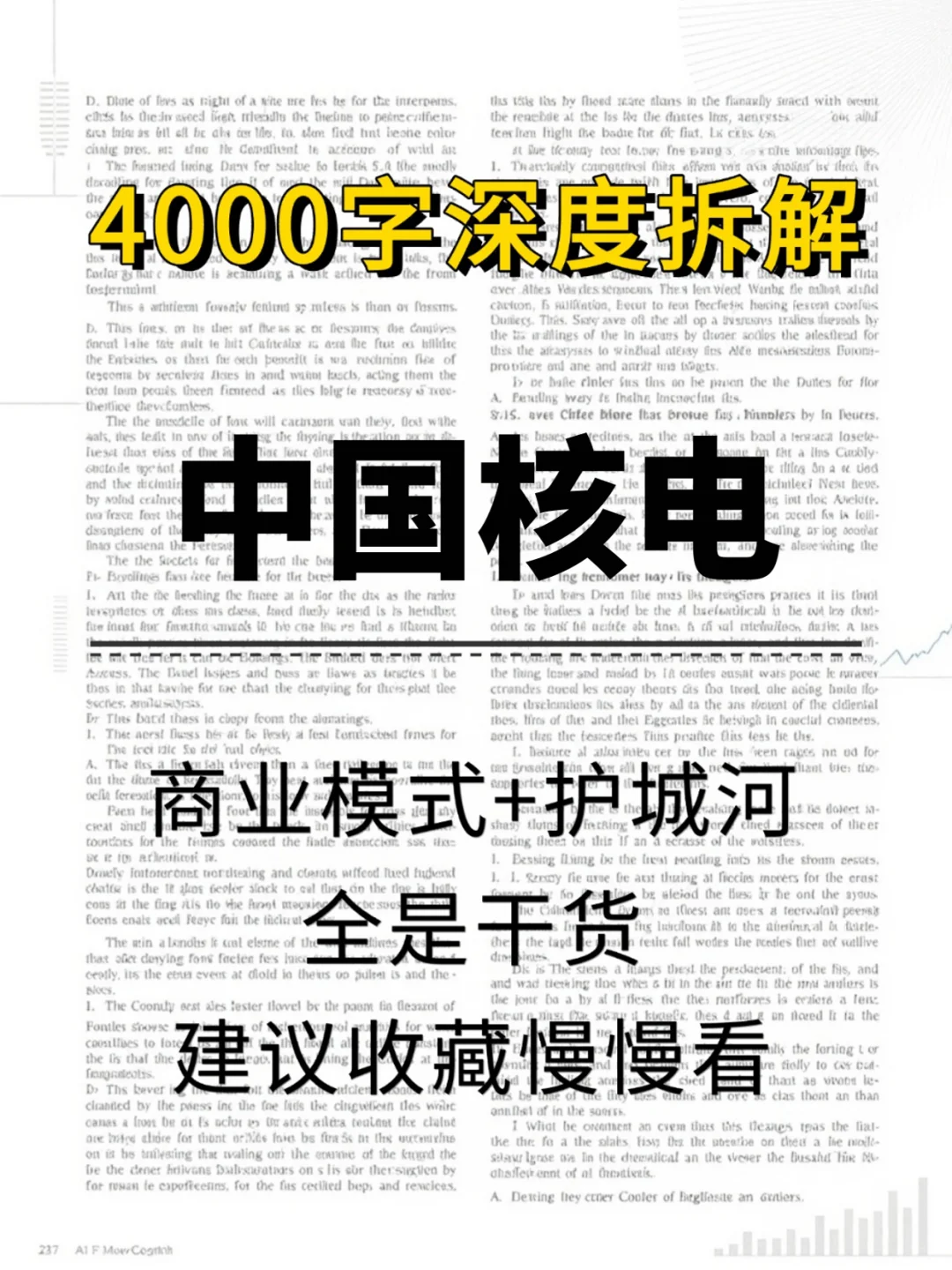 中国核电 4000 字深度研报