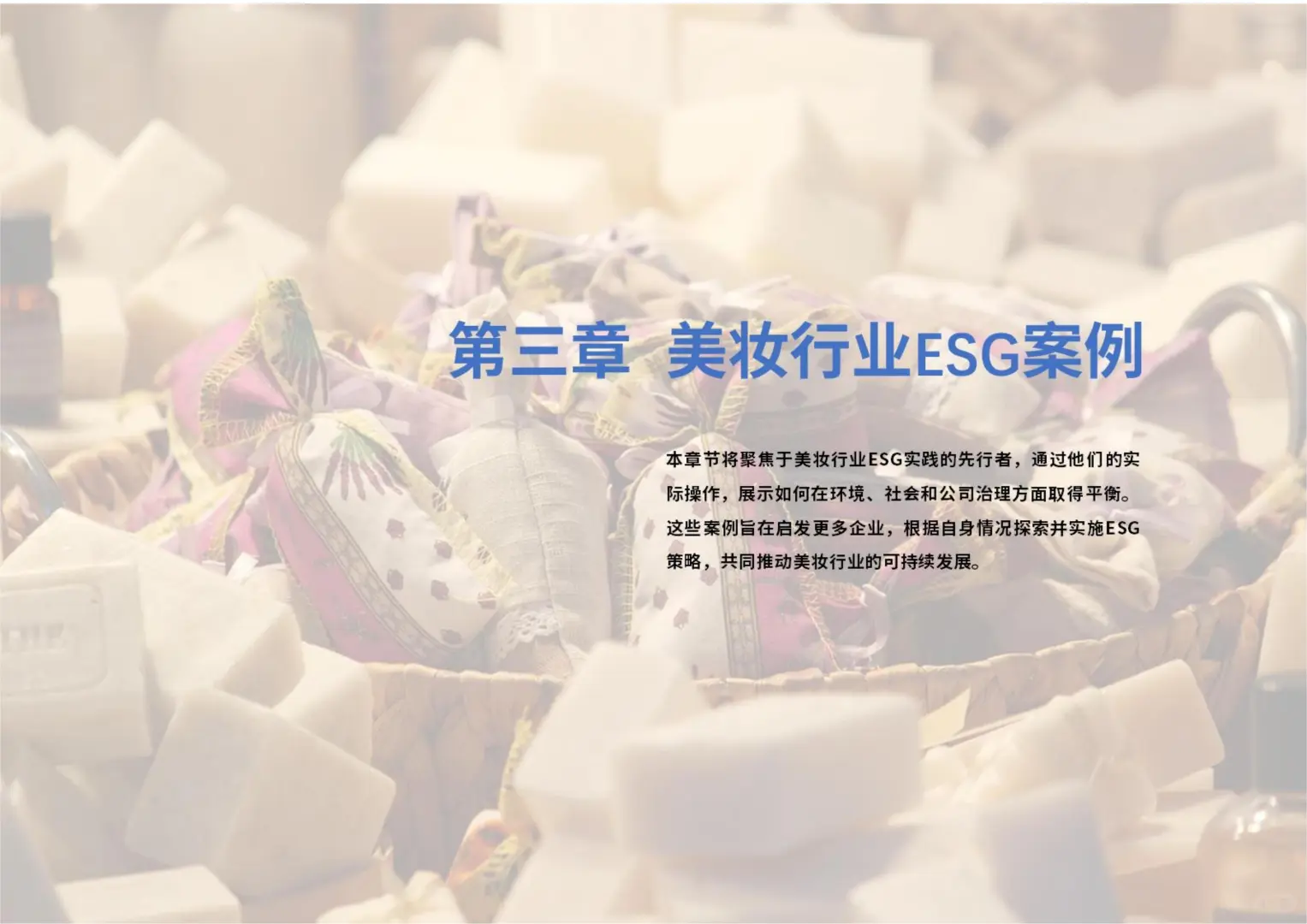 48页 | 一文读懂美妆 ESG 实操💄
