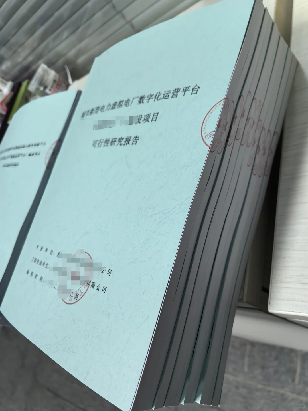 专项债可行性研究报告