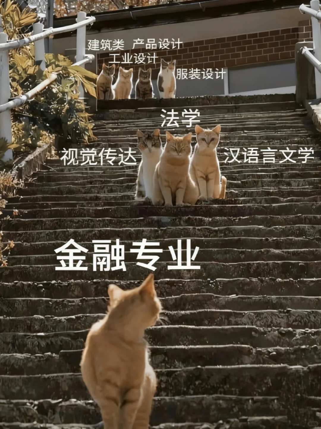 普通家庭的金融生要早点醒过来啊啊啊📊
