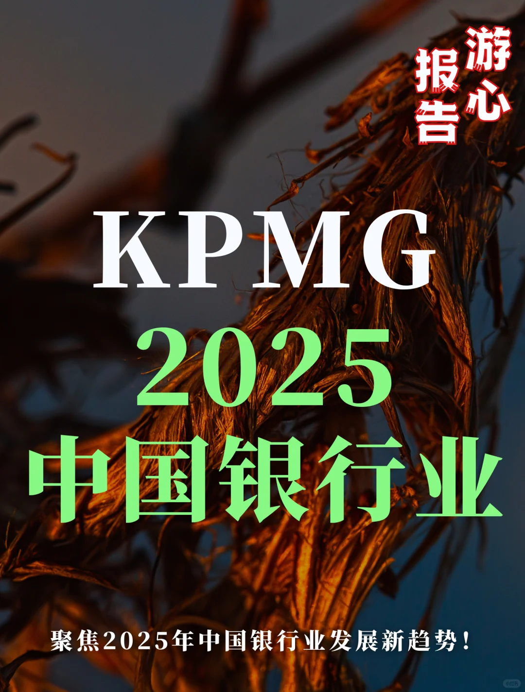 KPMG：2025中国银行业市场分析报告