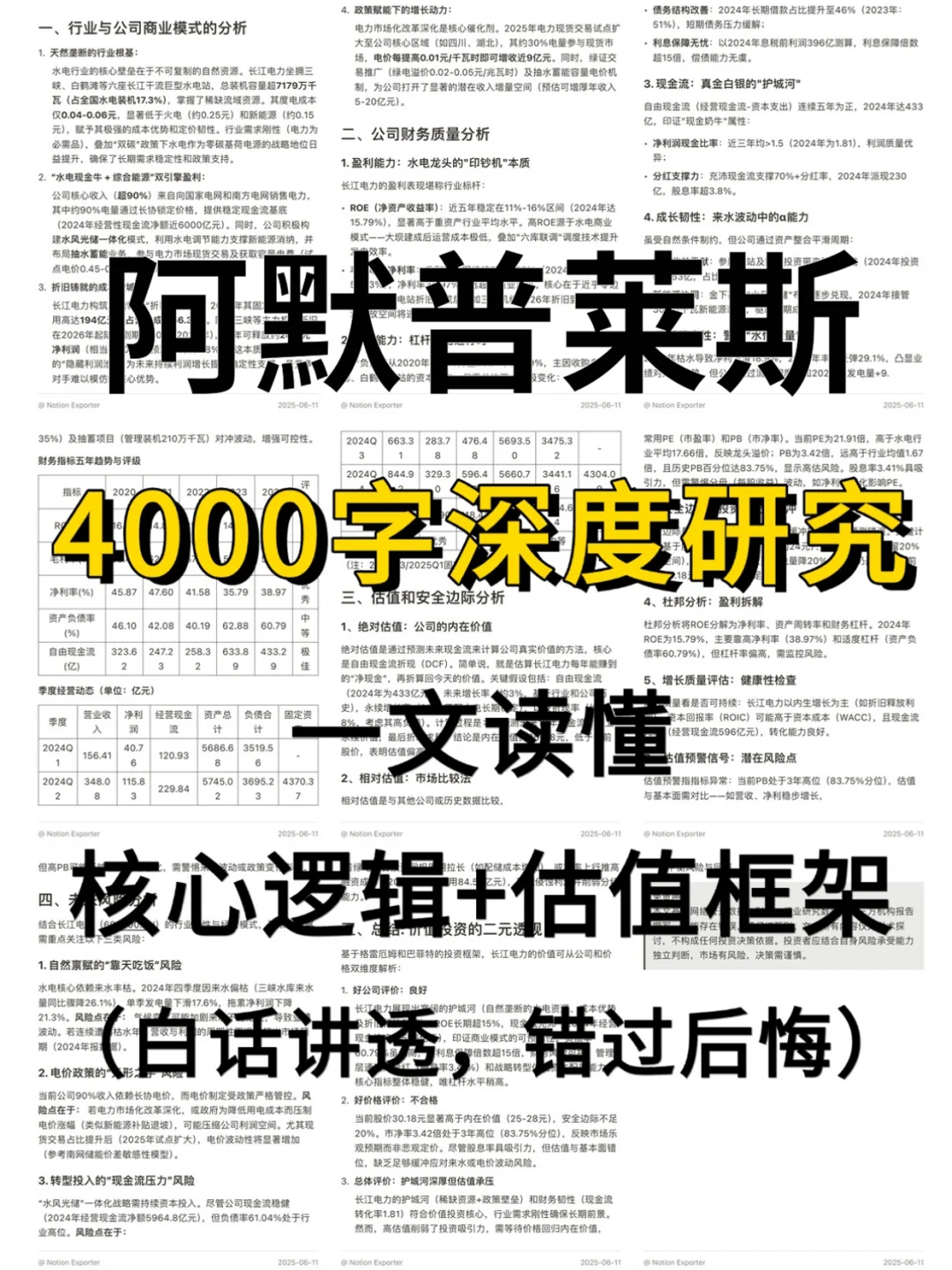 阿默普莱斯金融 4000 字深度研报