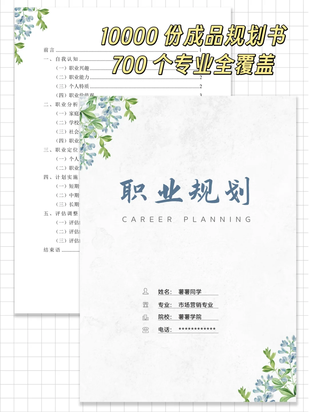 🔥国家级获奖【职业生涯规划大赛】全套模板