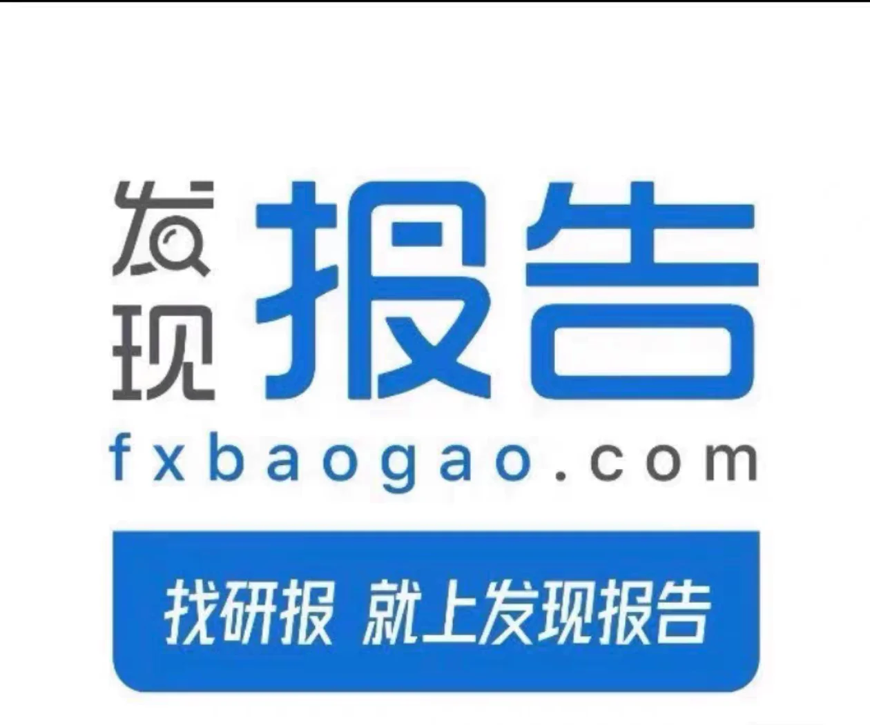 发现报告高级会员