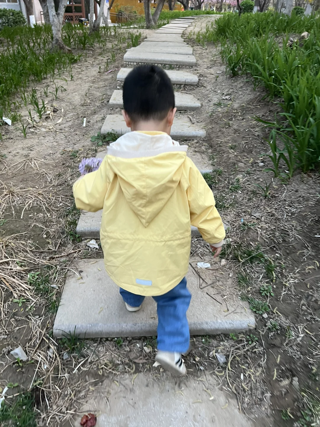 我快被数据搞疯了！讨厌到极致…