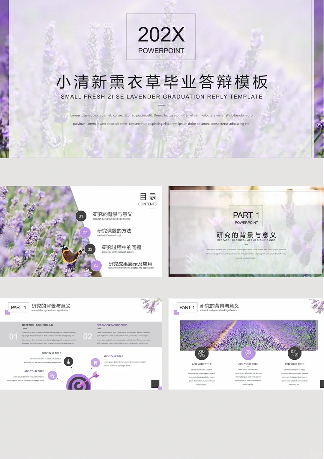 研究总结 研究报告