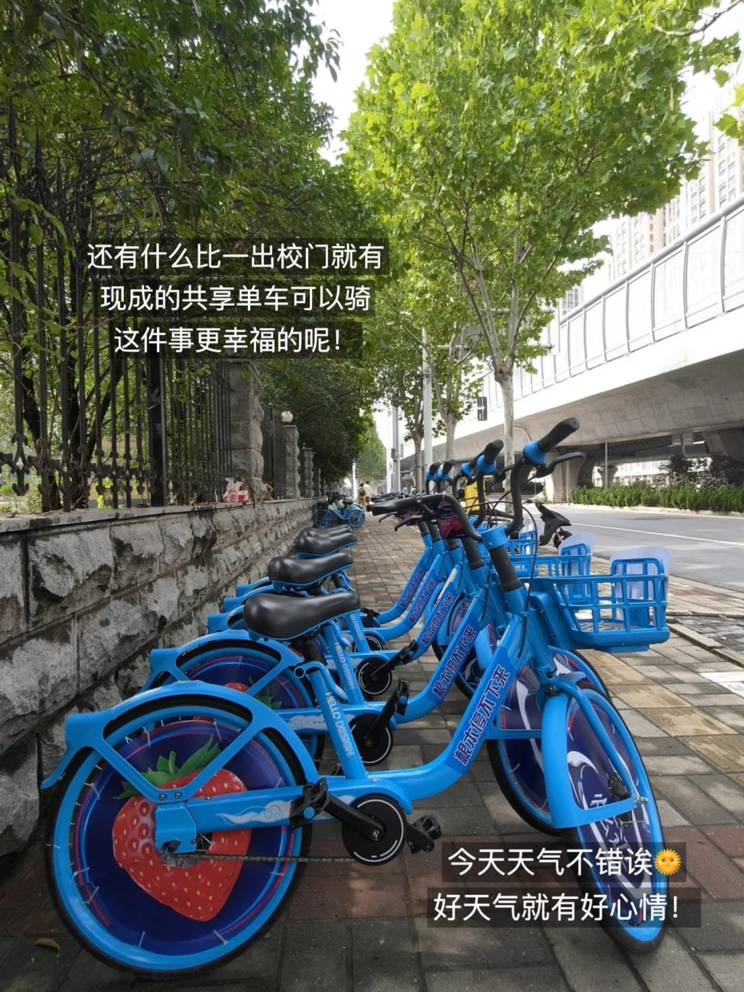 PLOG📝｜女大亲测！被导师夸爆的市场调研攻略
