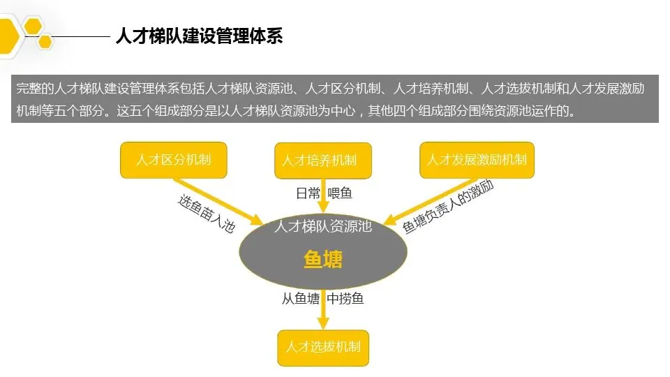 人才梯队图，一看就懂