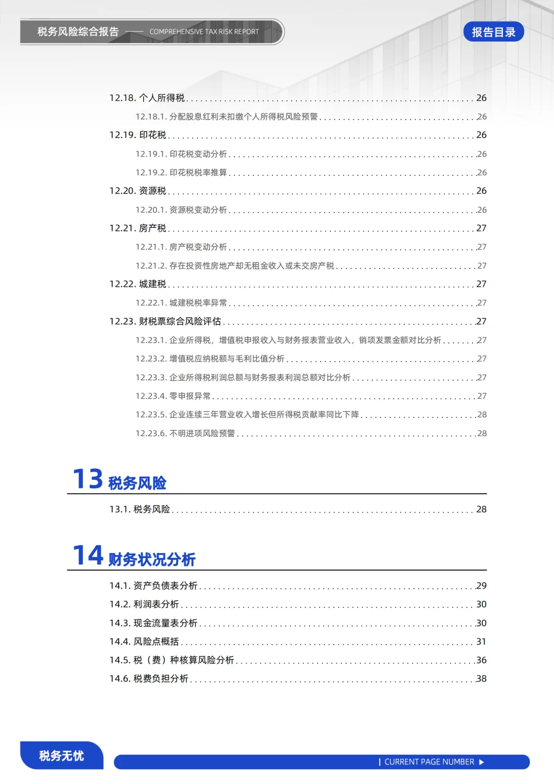 税务风险综合报告：洞察风险，稳健前行