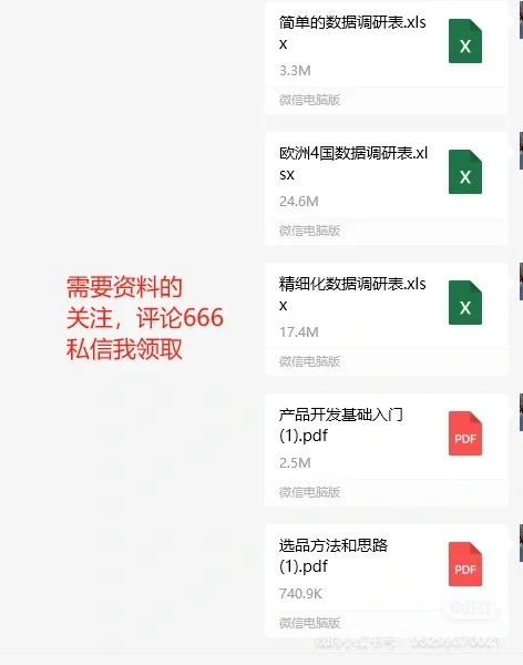 前期快速的市场调研表