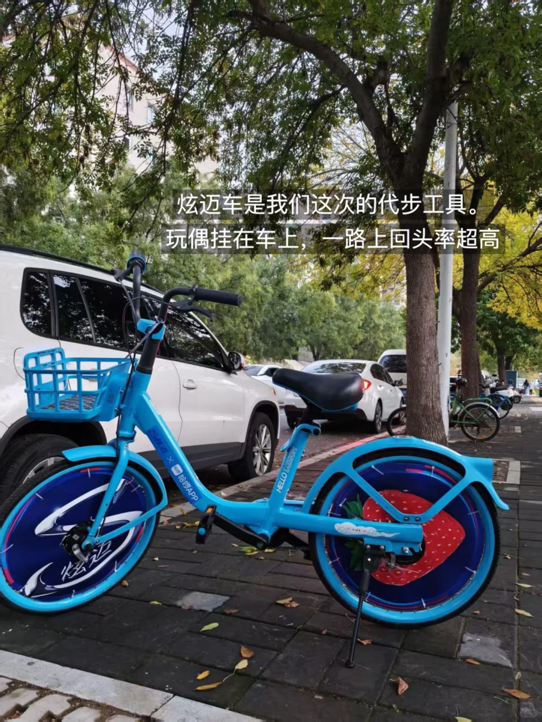 PLOG📝｜女大亲测！被导师夸爆的市场调研攻略