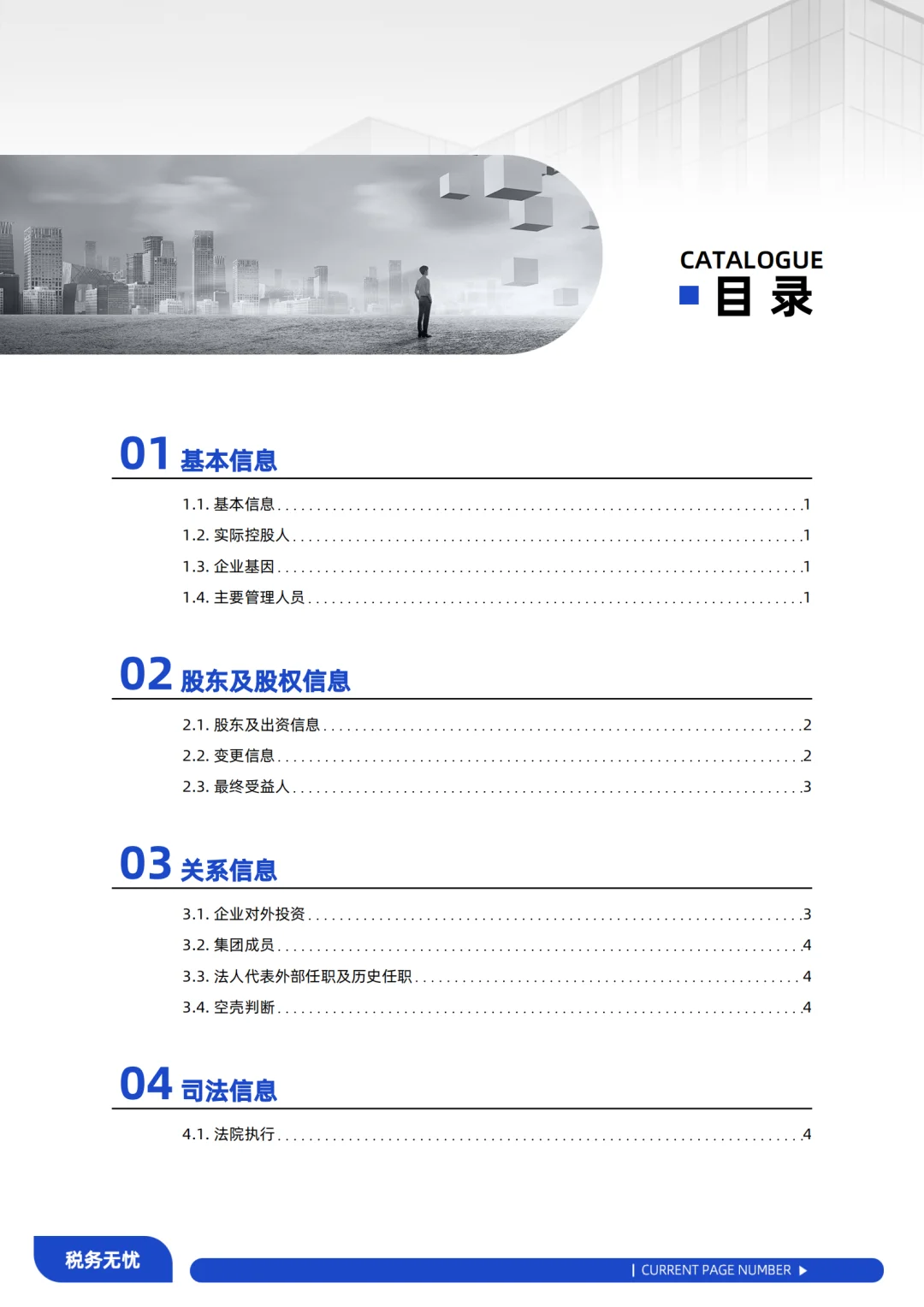 税务风险综合报告：洞察风险，稳健前行