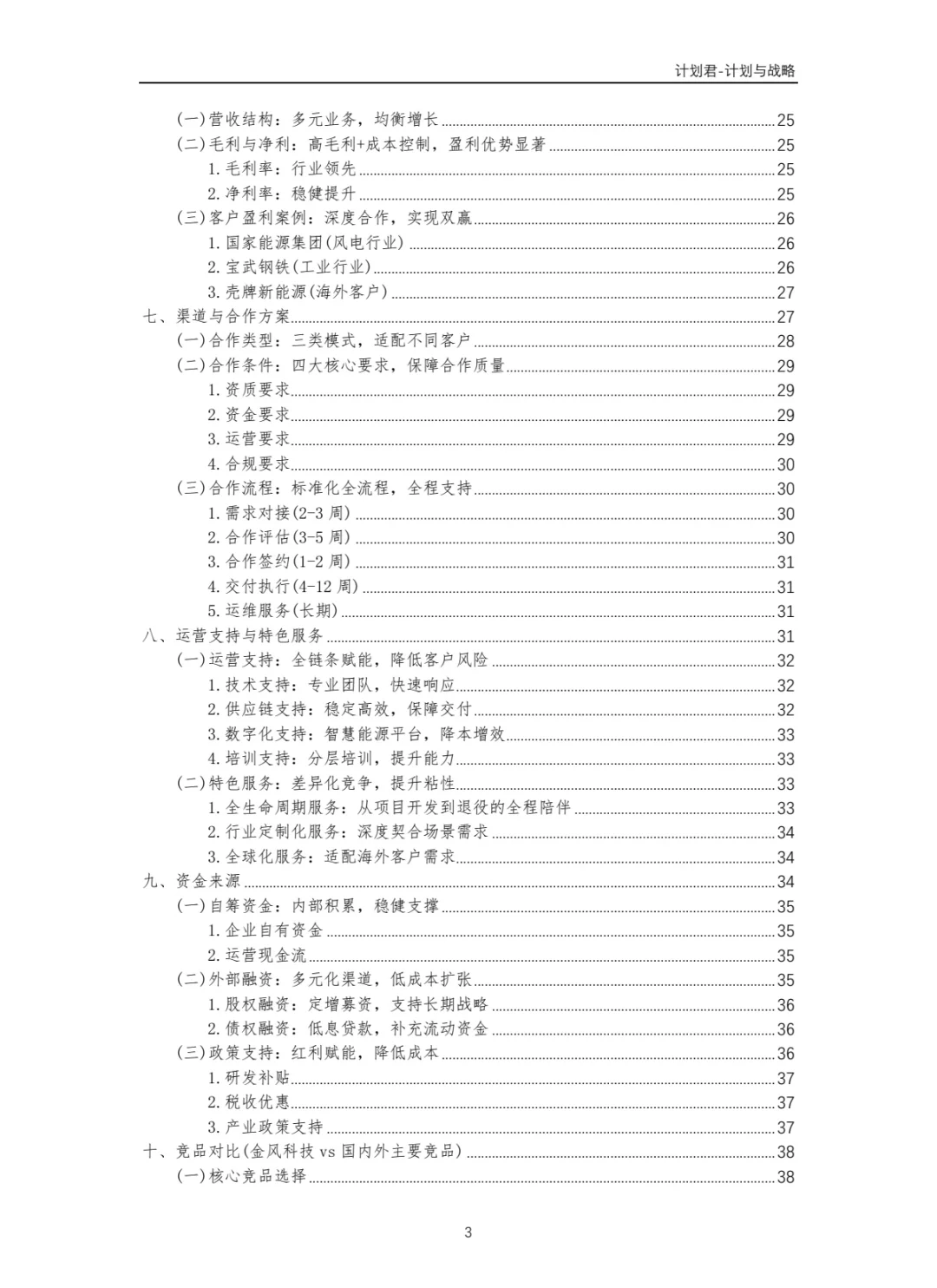中国某风电龙头企业商业计划书