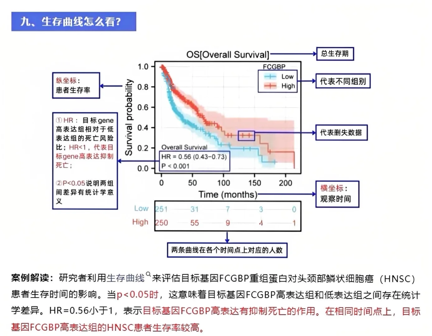 突然发12大生信图解的思路也太清晰了吧…