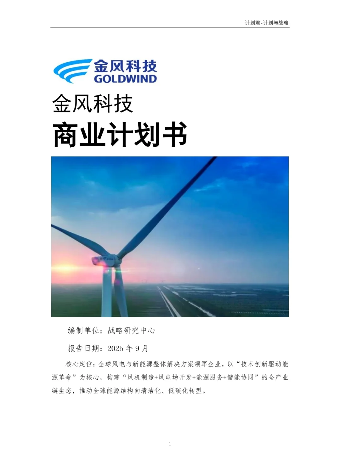 中国某风电龙头企业商业计划书