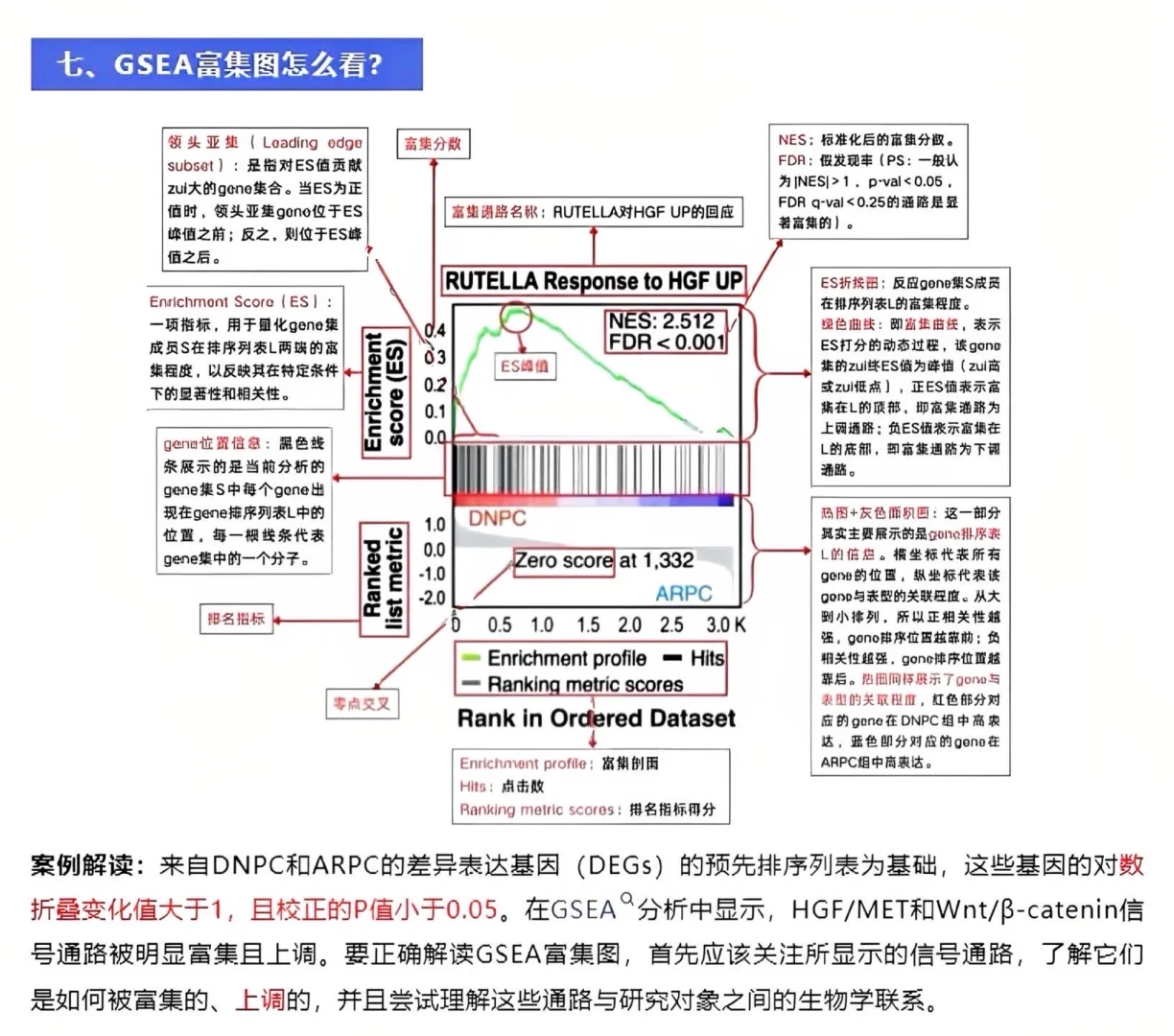 突然发12大生信图解的思路也太清晰了吧…