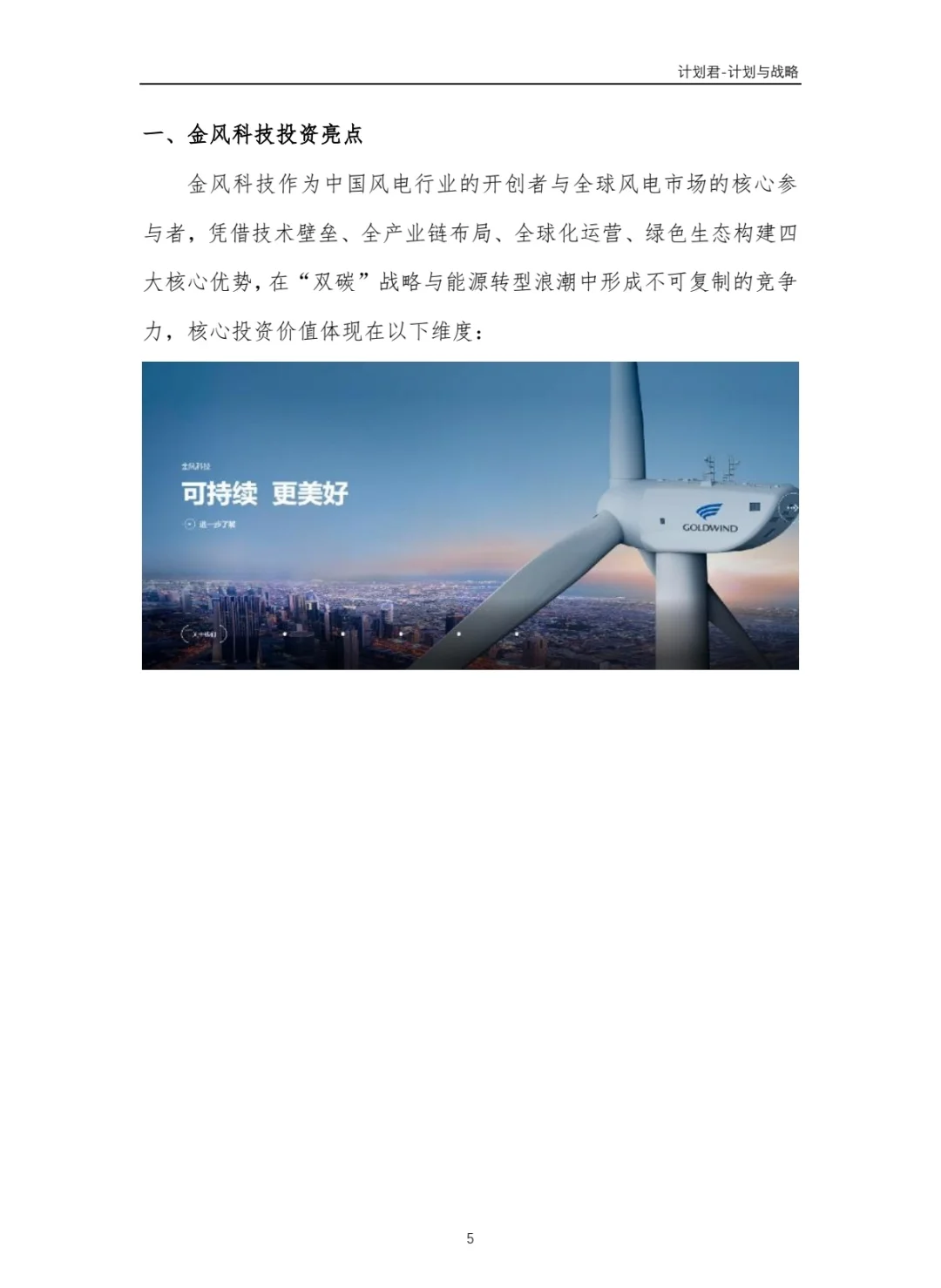 中国某风电龙头企业商业计划书