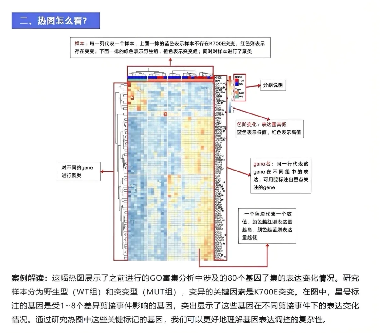 突然发12大生信图解的思路也太清晰了吧…