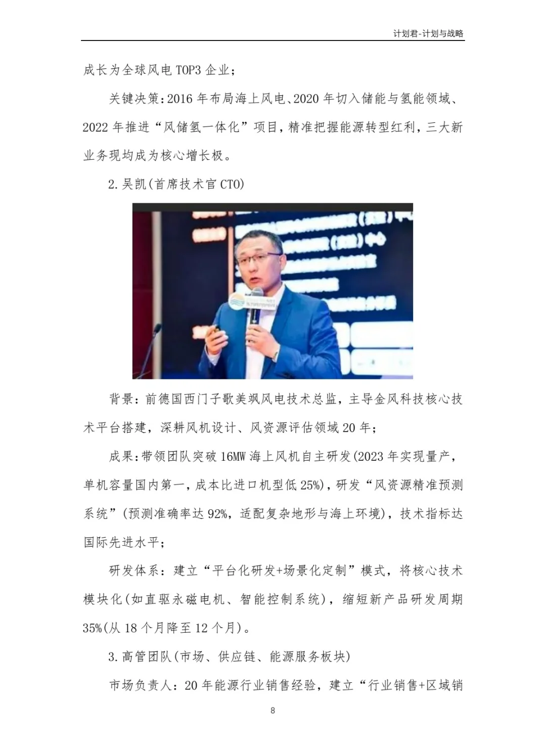 中国某风电龙头企业商业计划书