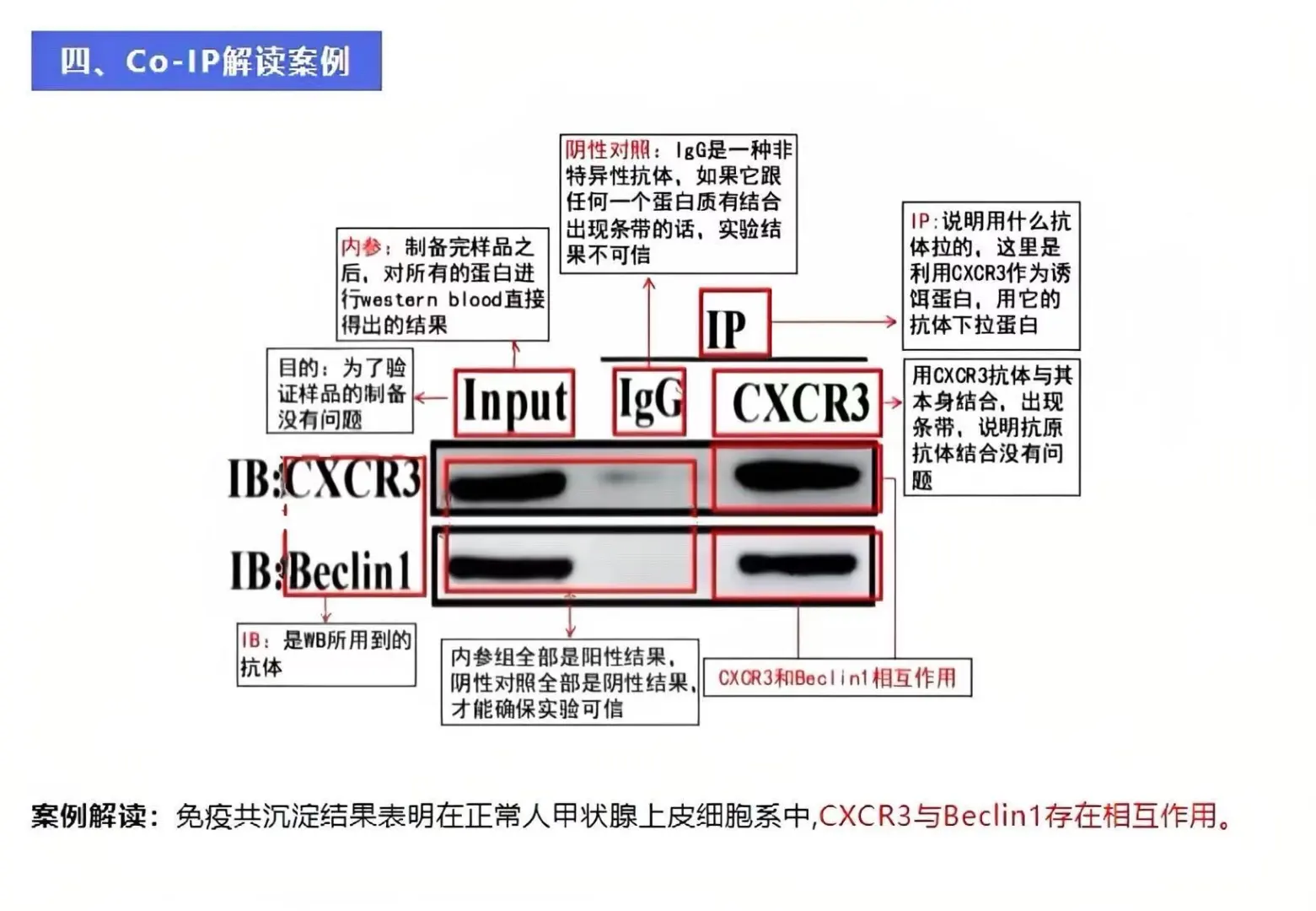 突然发12大生信图解的思路也太清晰了吧…