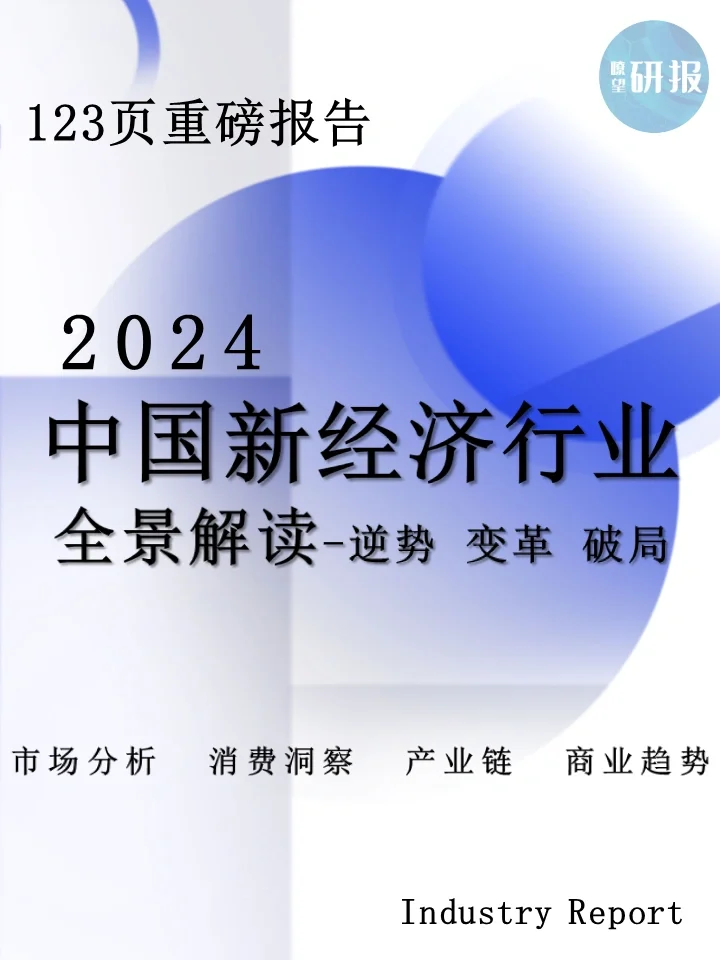 2024中国新经济行业全景:逆势、变ge、破局