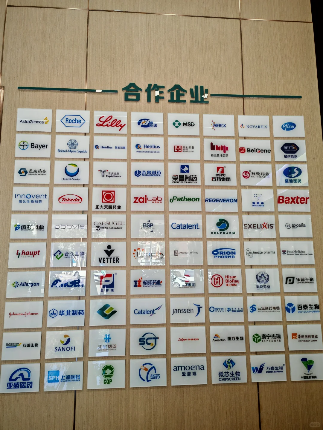 药明生物半年报:CXO寒冬里
