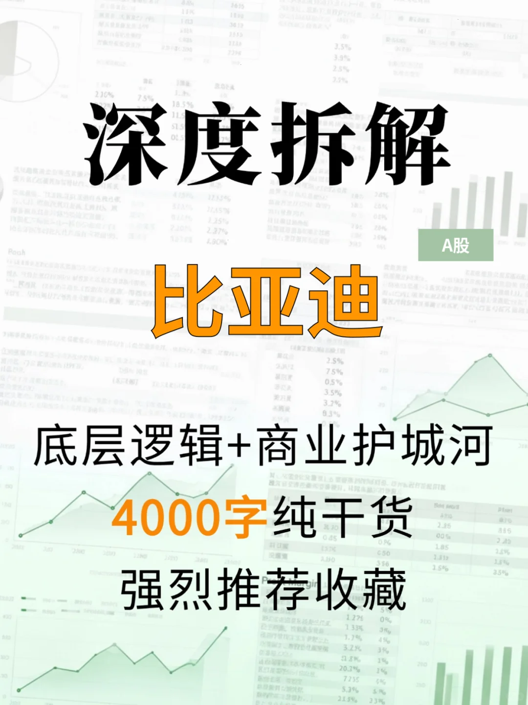 比亚迪 4000 字深度研报