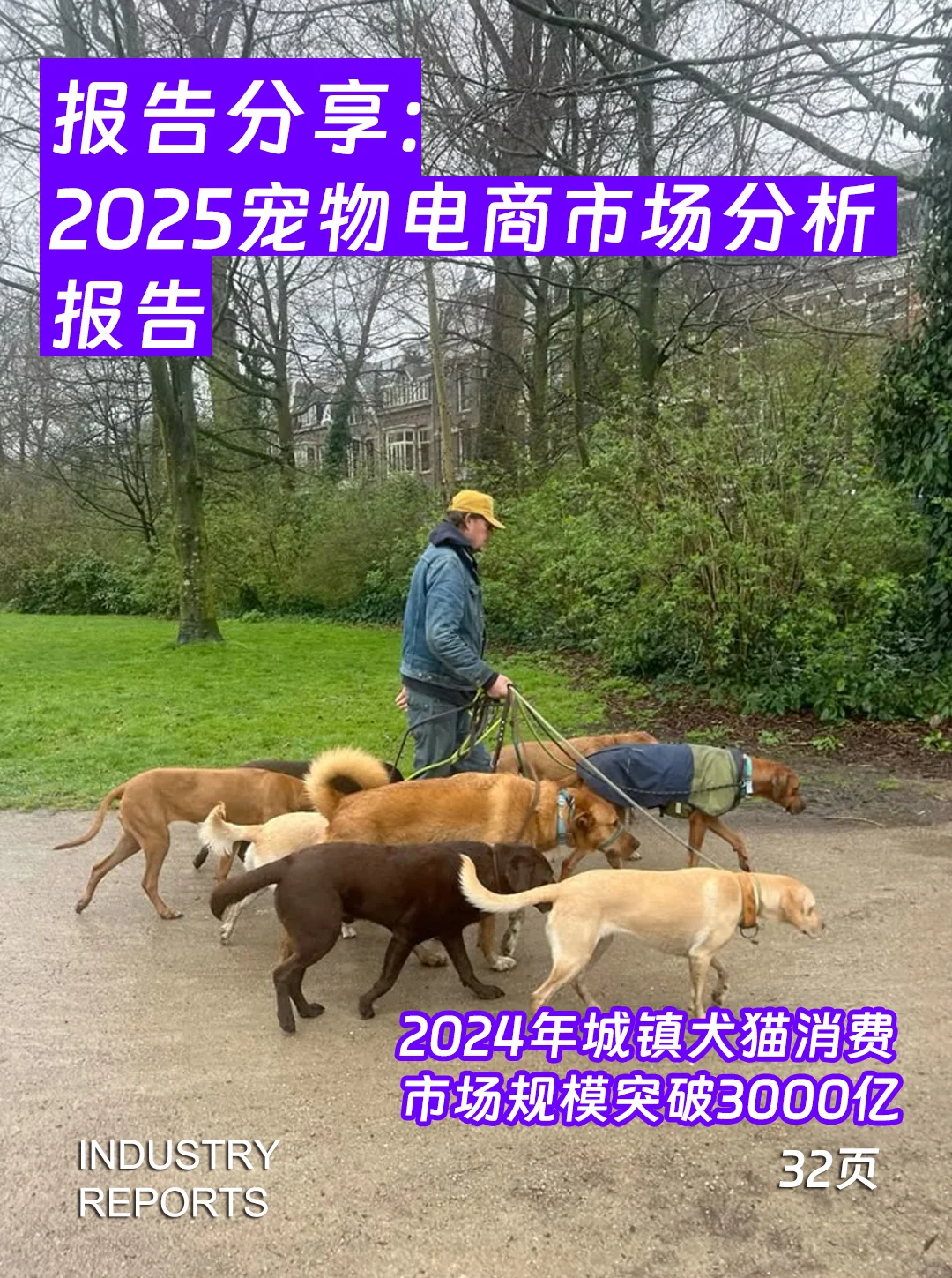 32页报告| 2025宠物电商市场分析